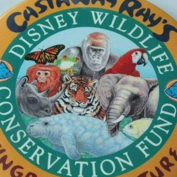Disney Button Pin  - Castaway Ray's Stingray Adventure Conservation Fund - DCL - Picture 2 of 4